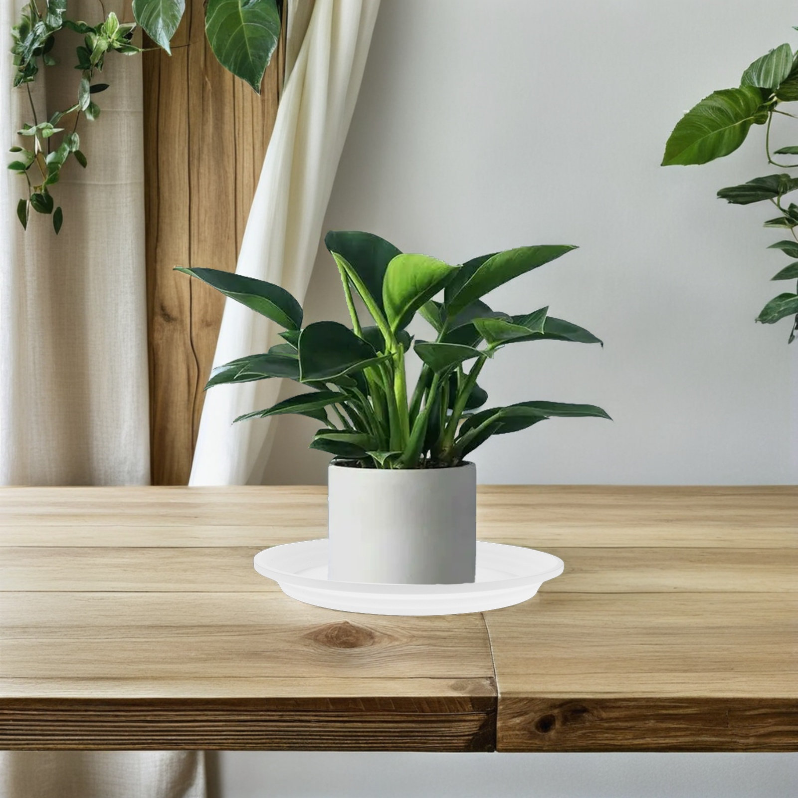 6Pcs 10.61 Inch Round Plastic  - đánh giá và giá Drip Tray Saucer